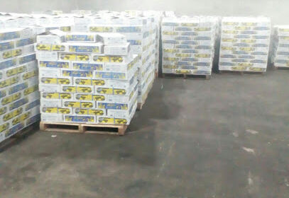 marjana agro trading