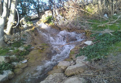 N’Gaous