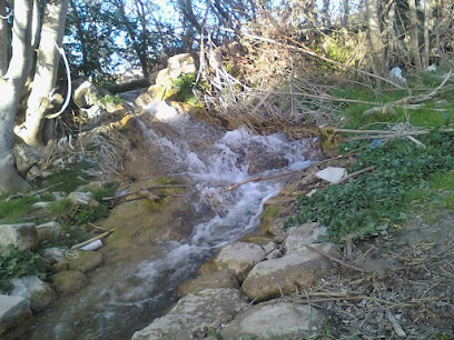 N&rsquo;Gaous