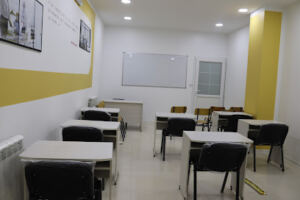 Olivine school dz