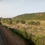 Oued Chiffa