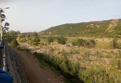 Oued Chiffa