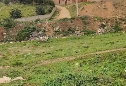 Oued Rhiou