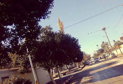 Oued Sly