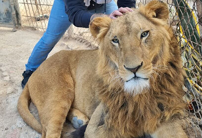 Parc Zoologique KEFFOUS HOCINE Tifrit