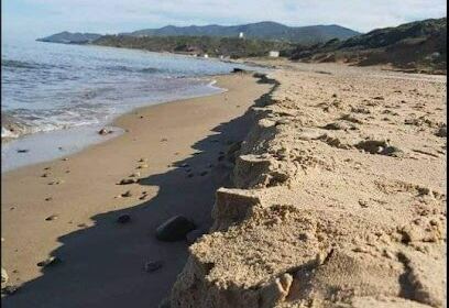 Plage Dati – Nakhla
