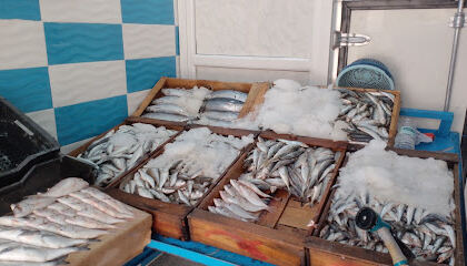 Poissonnerie Aissa El Kantara