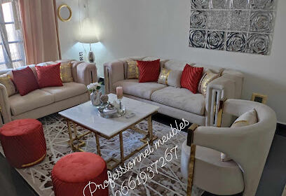 Professionnel Meubles