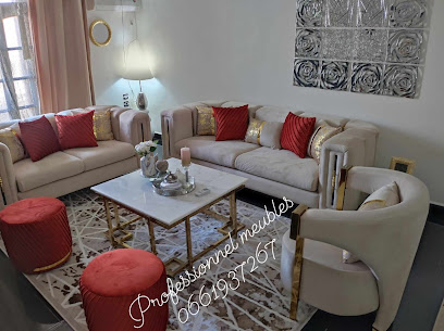 Professionnel Meubles