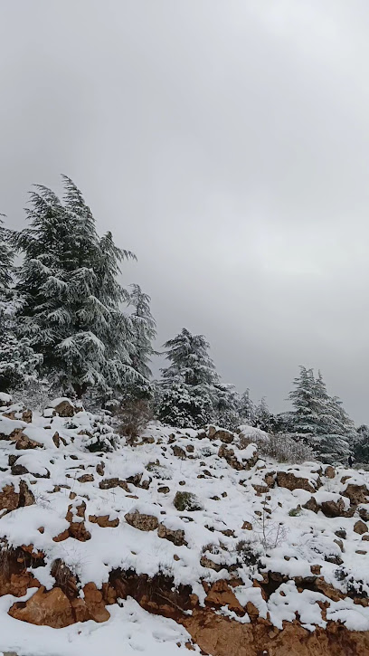 Batna