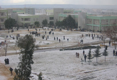 Saad Dahlab University – Blida1 (SDUB)