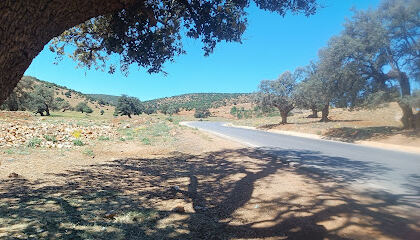 Sebdou