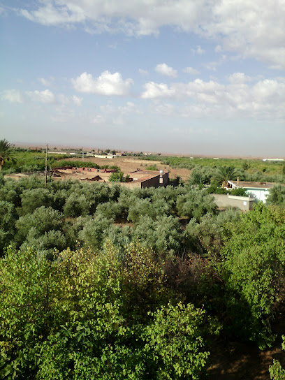 Sefiane