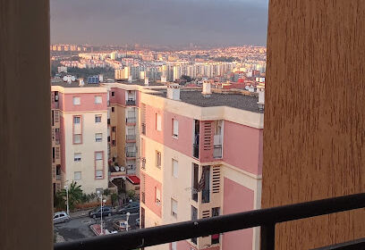 Selam madani douera