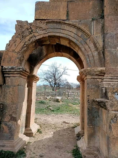 Site Archéologique Les Aris Tazoult Batna