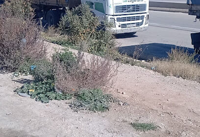 SNTR TRANSPORT CHLEF