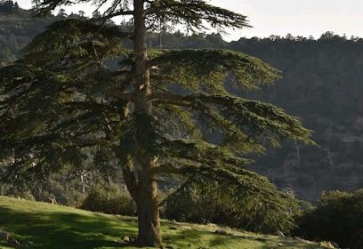 Sommet Tichrirt Ras El Aioun