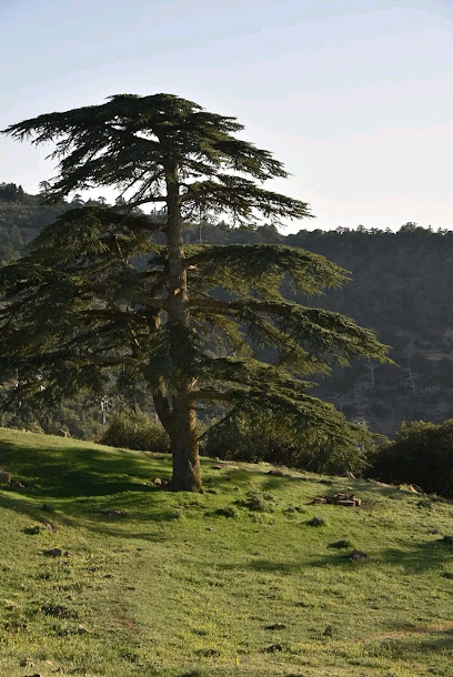 Sommet Tichrirt Ras El Aioun El Guesbat Batna