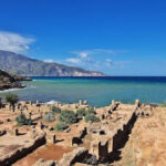 Agence Tipaza [Yalidine]
