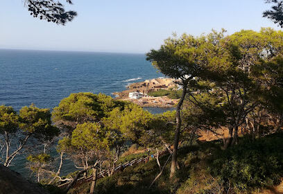 Tipaza Park la belle crête