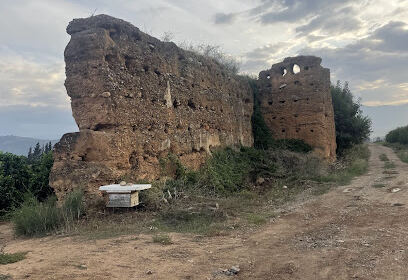 Vestiges de Tamzazdakt