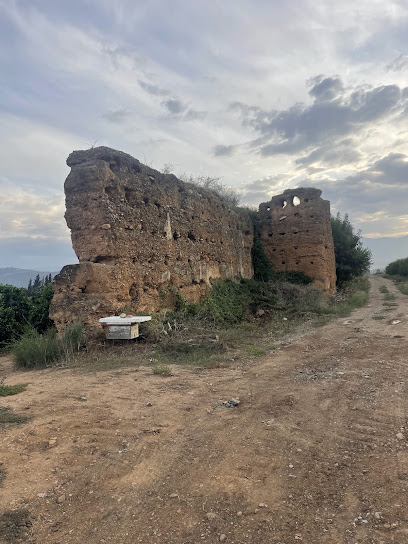 Vestiges de Tamzazdakt