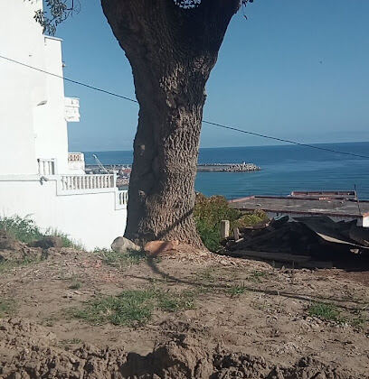 Annexe ANSEJ Zighoud Youcef constantine