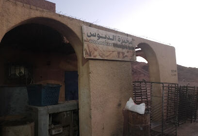 Boulangerie Dabous Ain Amguel