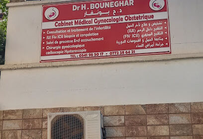Cabinet médical de gynécologie – Dr BOUNEGHAR