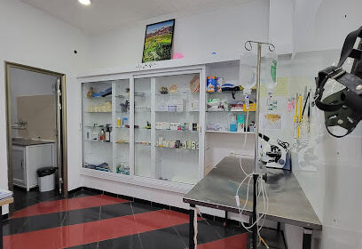 Cabinet vétérinaire Dr AICHE Siham