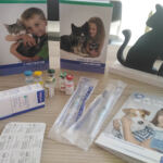 Clinique Vétérinaire El Badr