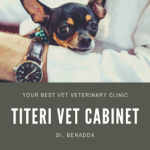 Cabinet Veterinaire Médéa TTTERI