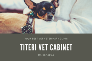 Cabinet Veterinaire Médéa TTTERI