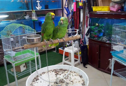 Canari Shop CHLEF