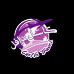 Castle Travel Services