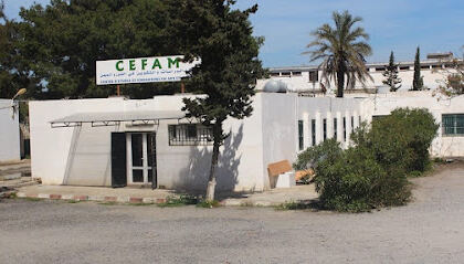 CEFAM Ecole d&rsquo;étude et formations en arts et métiers