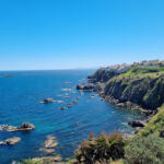 Corniche el marsa