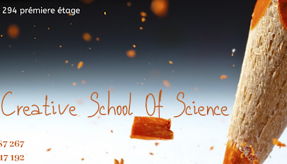 CREATIVE SCHOOL