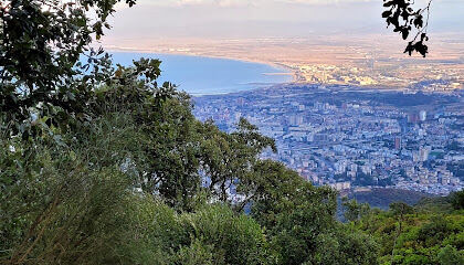 Daïra d’Annaba