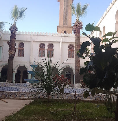 Dawya Optic Azzaba