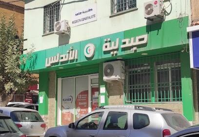 Dr C. El Fiad Médecin Généraliste