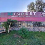 DZ Forest