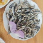 Fast food spécialité sardine