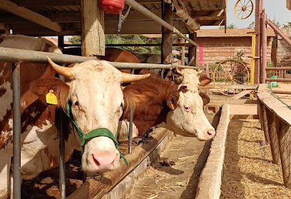Ferme Pedagogique d&rsquo;Alger ( Zeralda )