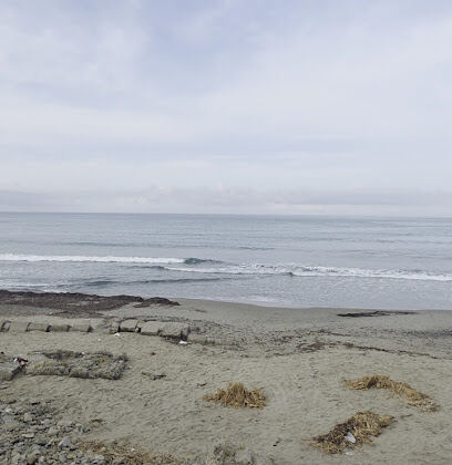 Front de mer