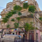 GPL Services