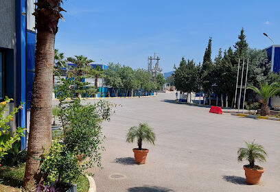 Groupe Abidi