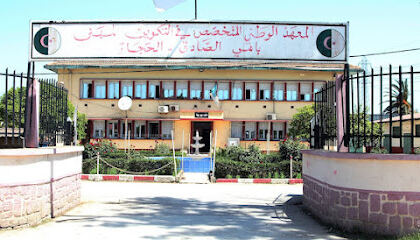 Institut national spécialisé De la formation professionnelle BAHI SADE D’El-Hadjar/AnnabaK