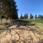 ITMAS Djelfa