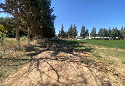 ITMAS Djelfa